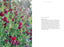 Sweet Pea School